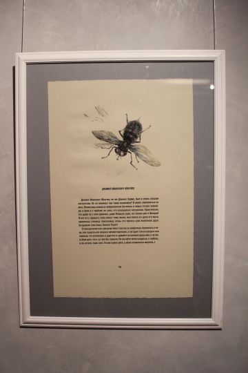 В Петербурге вышла книга об отношениях великих людей и насекомых